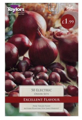 Taylors Electric Onion Sets - 50 Bulbs