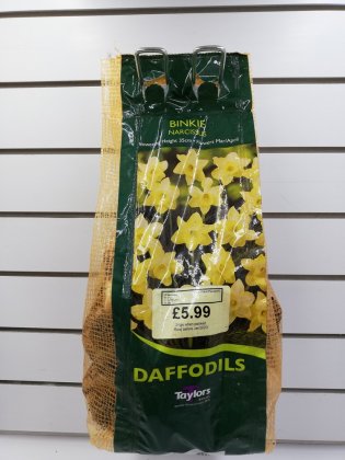 Taylors Narcissus Binkie Daffodil Bulbs - 2kg