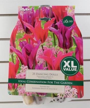 Taylors Dancing Dolls Tulips - 25 Bulbs