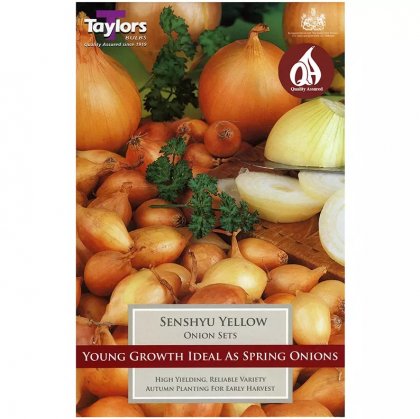 Taylors Senshyu Yellow Onion Sets - 50 Bulbs