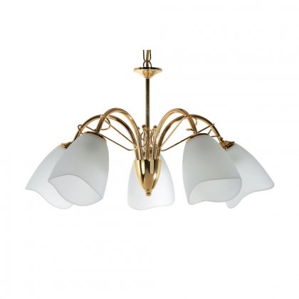 Oaks Lighting Turin 5 Light Chandelier Polished Brass