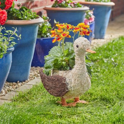 Smart Garden Daphne Duck Planter