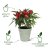 Elho Green Basics Growpot - 24cm Stone Green